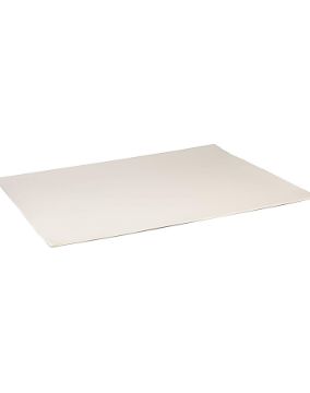 Paper Tray Rectangular shape Silver 18x24cm (100 Units)